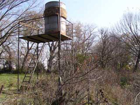 pig feeder stand